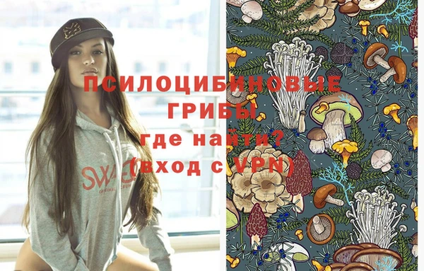а пвп мука Новозыбков