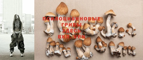 МДПВ Новодвинск