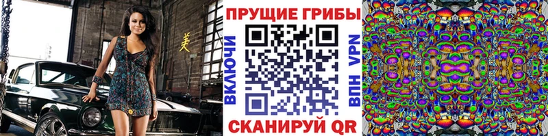 Псилоцибиновые грибы Psilocybine cubensis  Отрадное 